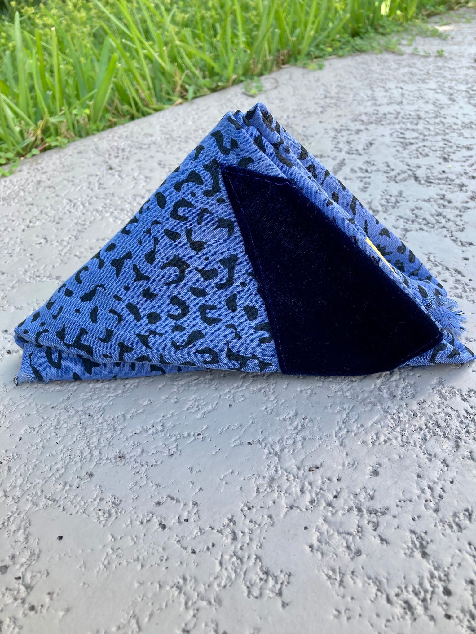 Weathered Leopard in Cornflower Blue