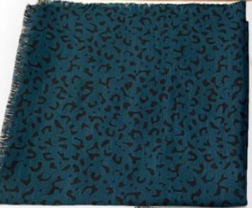 Weathered Leopard in Teal