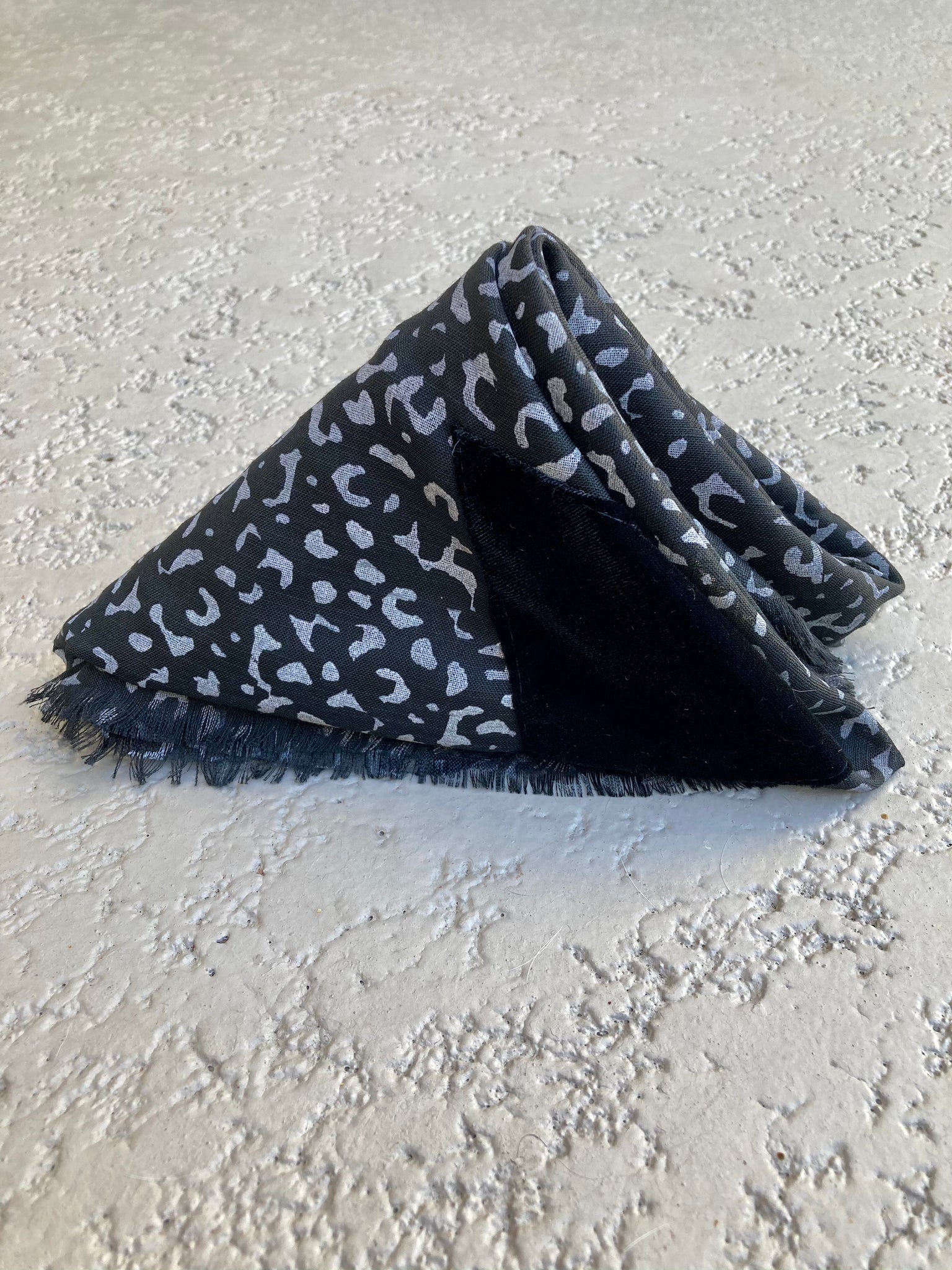 Weathered Leopard in Black